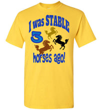 Stable Fun Tee