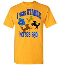 Stable Fun Tee