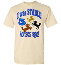 Stable Fun Tee
