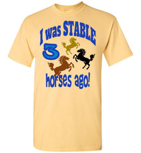 Stable Fun Tee